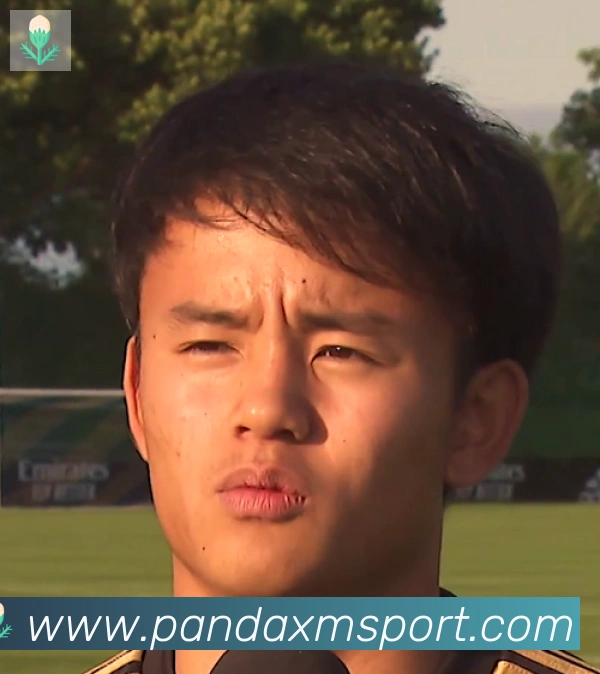 维尼修斯